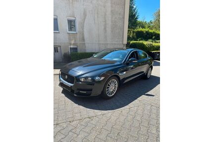 Jaguar XE Gebrauchtwagen
