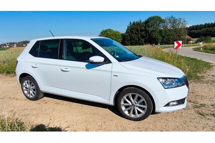 Skoda Fabia Gebrauchtwagen