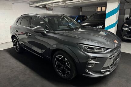 Cupra Terramar Gebrauchtwagen