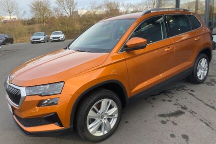 Skoda Karoq Gebrauchtwagen