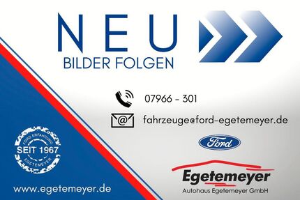 Ford EcoSport Gebrauchtwagen