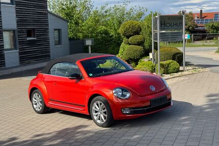 VW Beetle Gebrauchtwagen