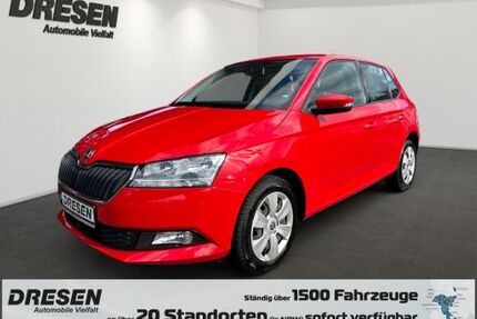 Skoda Fabia Gebrauchtwagen
