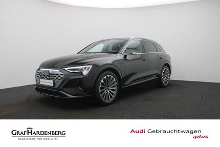 Audi Q8 e-tron Gebrauchtwagen