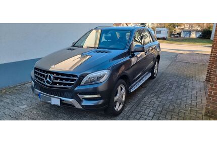 Mercedes-Benz ML 250 Gebrauchtwagen