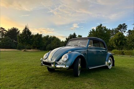 VW Käfer Gebrauchtwagen