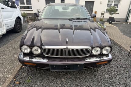 Jaguar XJ8 Gebrauchtwagen