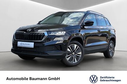 Skoda Karoq Gebrauchtwagen