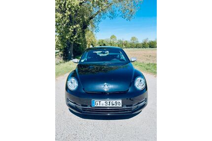 VW Beetle Gebrauchtwagen