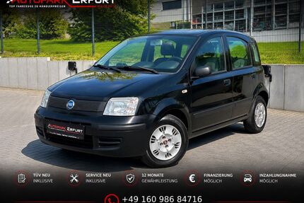 Fiat Panda Gebrauchtwagen