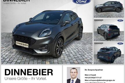 Ford Puma Gebrauchtwagen