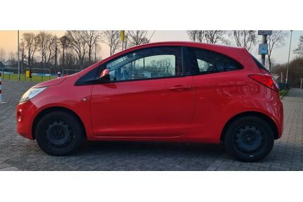 Ford Ka/Ka+ Gebrauchtwagen