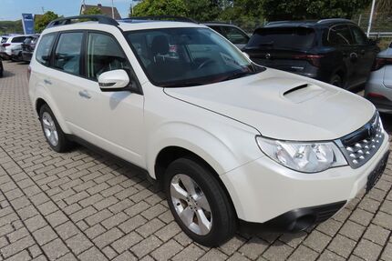 Subaru Forester Gebrauchtwagen
