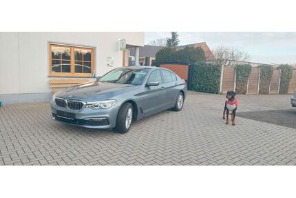 BMW 520 Gebrauchtwagen
