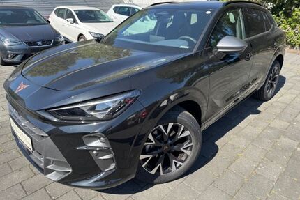 Cupra Terramar Gebrauchtwagen