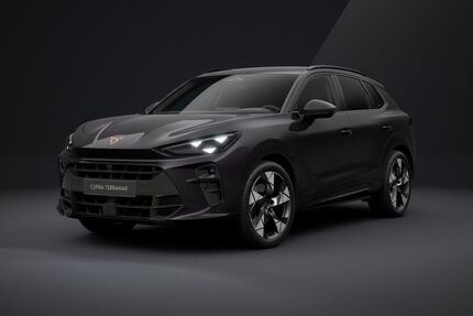 Cupra Terramar Gebrauchtwagen