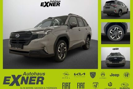 Subaru Forester Gebrauchtwagen