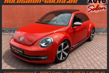 VW Beetle Gebrauchtwagen