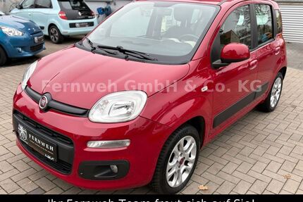 Fiat Panda Gebrauchtwagen