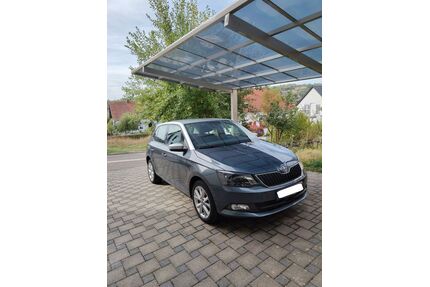 Skoda Fabia Gebrauchtwagen