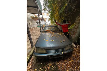 Opel Monza Gebrauchtwagen