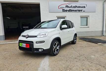 Fiat Panda Gebrauchtwagen