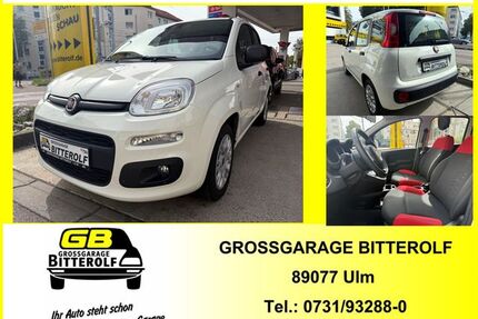 Fiat Panda Gebrauchtwagen