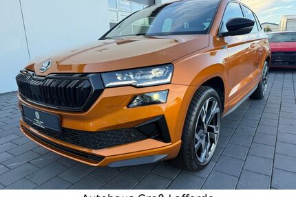 Skoda Karoq Gebrauchtwagen