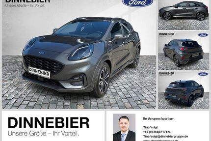 Ford Puma Gebrauchtwagen
