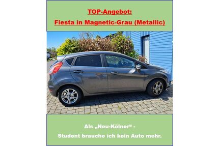 Ford Fiesta Gebrauchtwagen