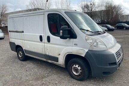 Fiat Ducato Gebrauchtwagen