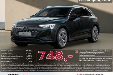 Audi Q8 e-tron Gebrauchtwagen