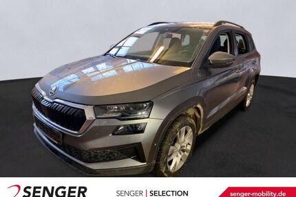 Skoda Karoq Gebrauchtwagen