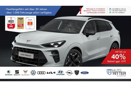 Cupra Terramar Gebrauchtwagen
