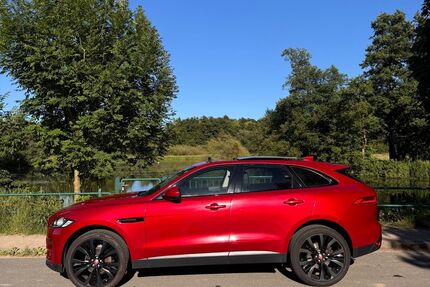Jaguar F-Pace Gebrauchtwagen