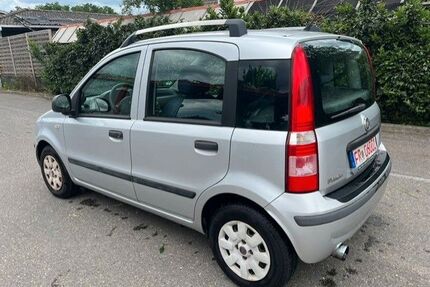 Fiat Panda Gebrauchtwagen