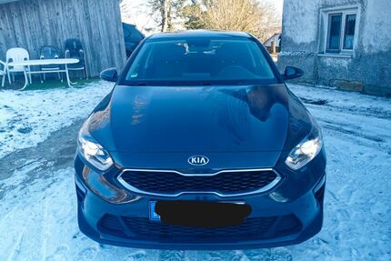 Kia ceed / Ceed Gebrauchtwagen