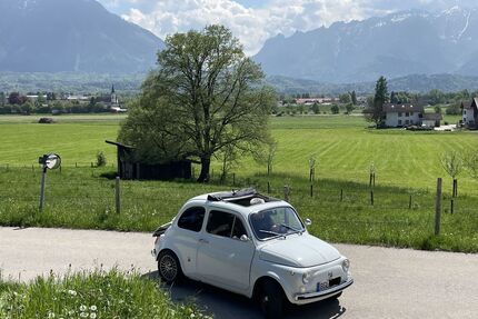 Fiat 500 Gebrauchtwagen