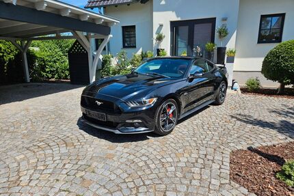 Ford Mustang Gebrauchtwagen