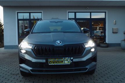 Skoda Karoq Gebrauchtwagen
