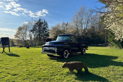 Ford F 100 Gebrauchtwagen