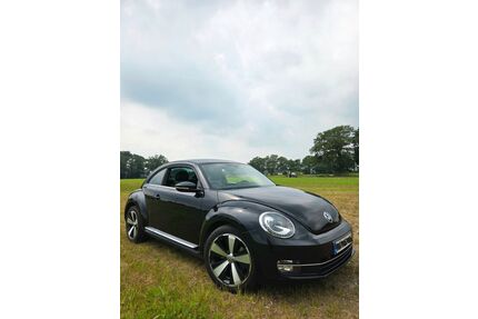 VW Beetle Gebrauchtwagen
