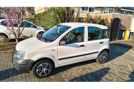 Fiat Panda Gebrauchtwagen