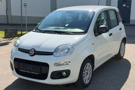 Fiat Panda Gebrauchtwagen