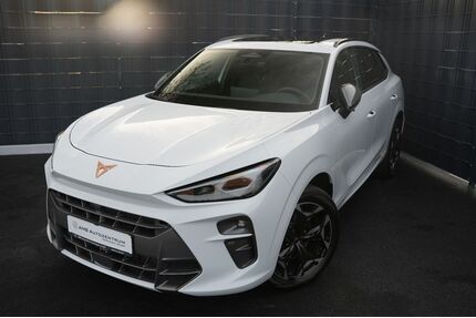 Cupra Terramar Gebrauchtwagen