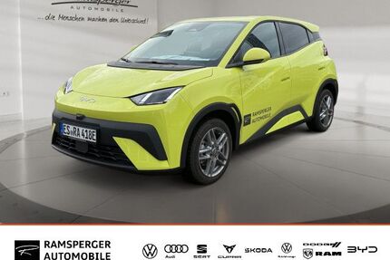 BYD DOLPHIN Gebrauchtwagen