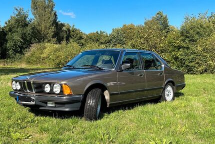 BMW 735 Gebrauchtwagen