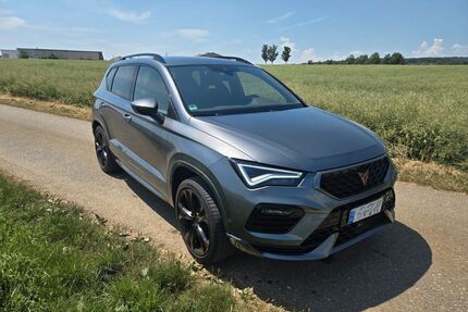 Cupra Ateca Gebrauchtwagen