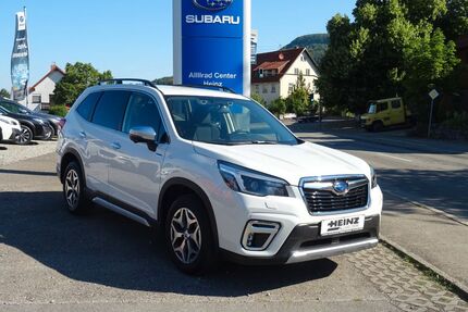 Subaru Forester Gebrauchtwagen