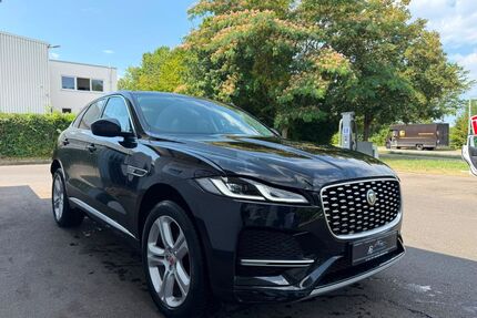 Jaguar F-Pace Gebrauchtwagen